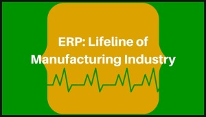 Read more about the article ERP: Lifeline of Manufacturing Industry