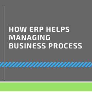 Read more about the article How ERP Helps Managing Business Process?