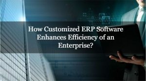 Read more about the article How Customized ERP Software Enhances Efficiency of an Enterprise?