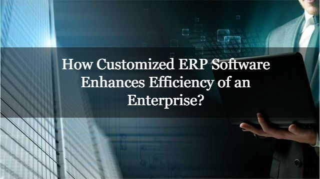 How Customized ERP Software Enhances Efficiency of an Enterprise?