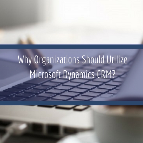 Read more about the article Why Organizations Should Utilize Microsoft Dynamics CRM?