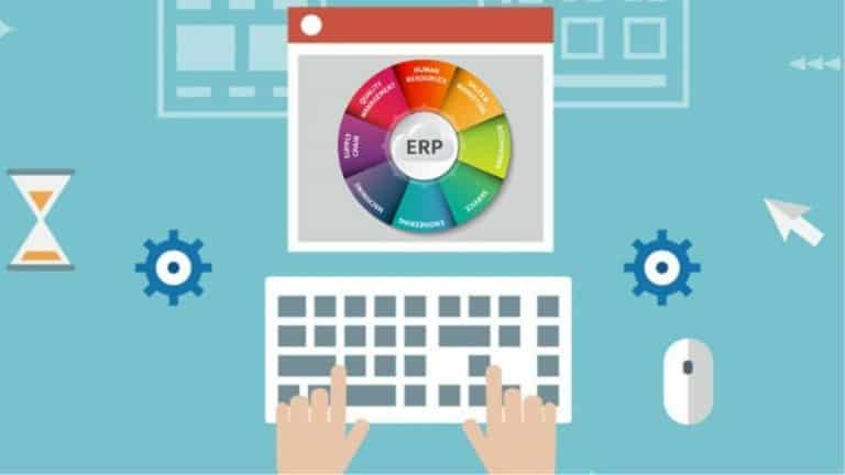 ERP Implementation and Customizatio