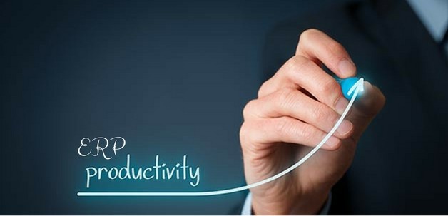 ERP productivity