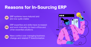 Read more about the article Why In-Sourcing ERP Support Makes Good Business Sense?