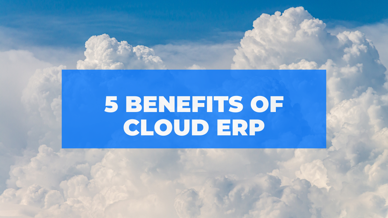 Read more about the article 5 Incredible Benefits of Cloud ERP System You Must Know